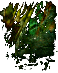 The First Dream
