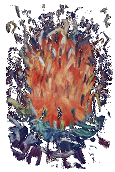 The Fire