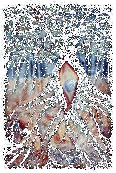 Tree and Egg